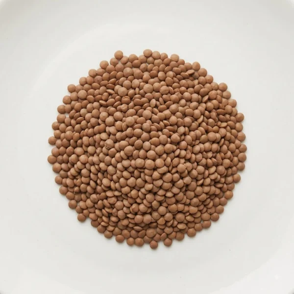 Organic Whole Masoor