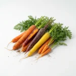 Crunchy Organic Carrots